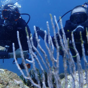 Bautizo Submarinismo en L'Estartit