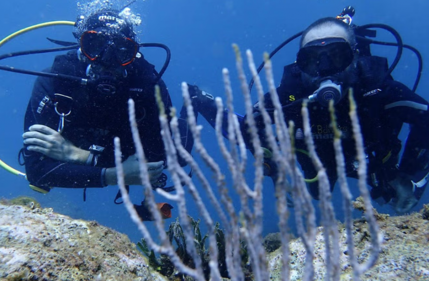 Bautizo Submarinismo en L'Estartit
