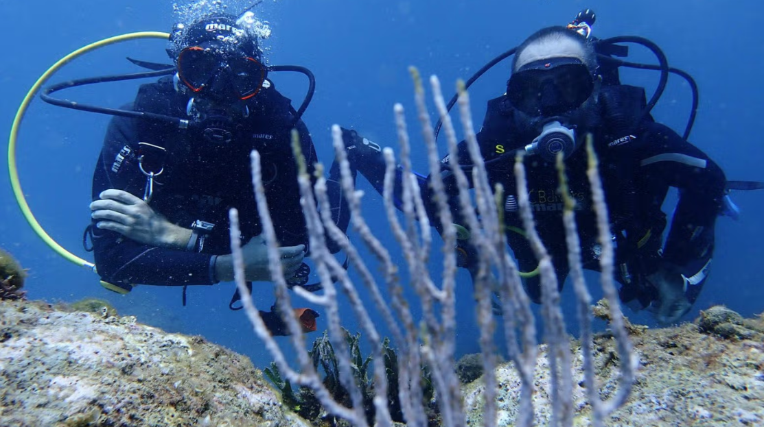 Bautizo Submarinismo en L'Estartit