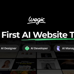 wegic ai