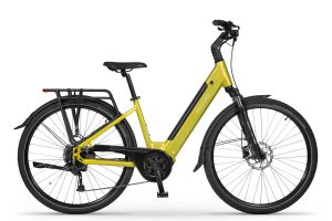 Electric bike Ecobike LX 100 Lima