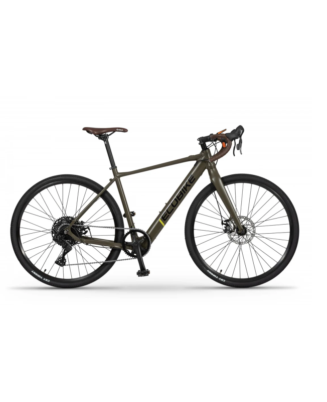 Electric bike Ecobike Forest Arrow