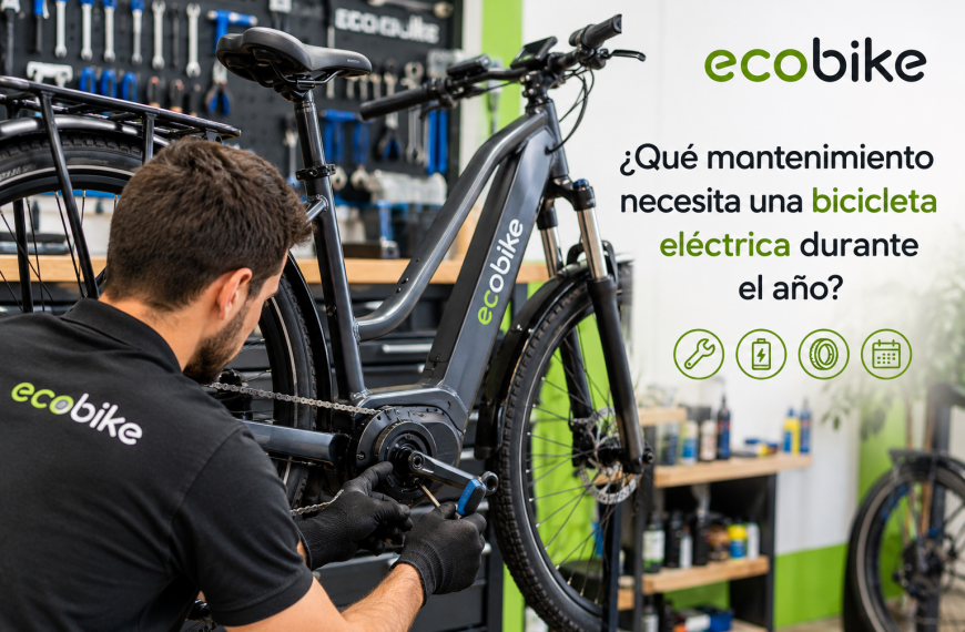¿Qué mantenimiento necesita una bicicleta eléctrica durante el año?